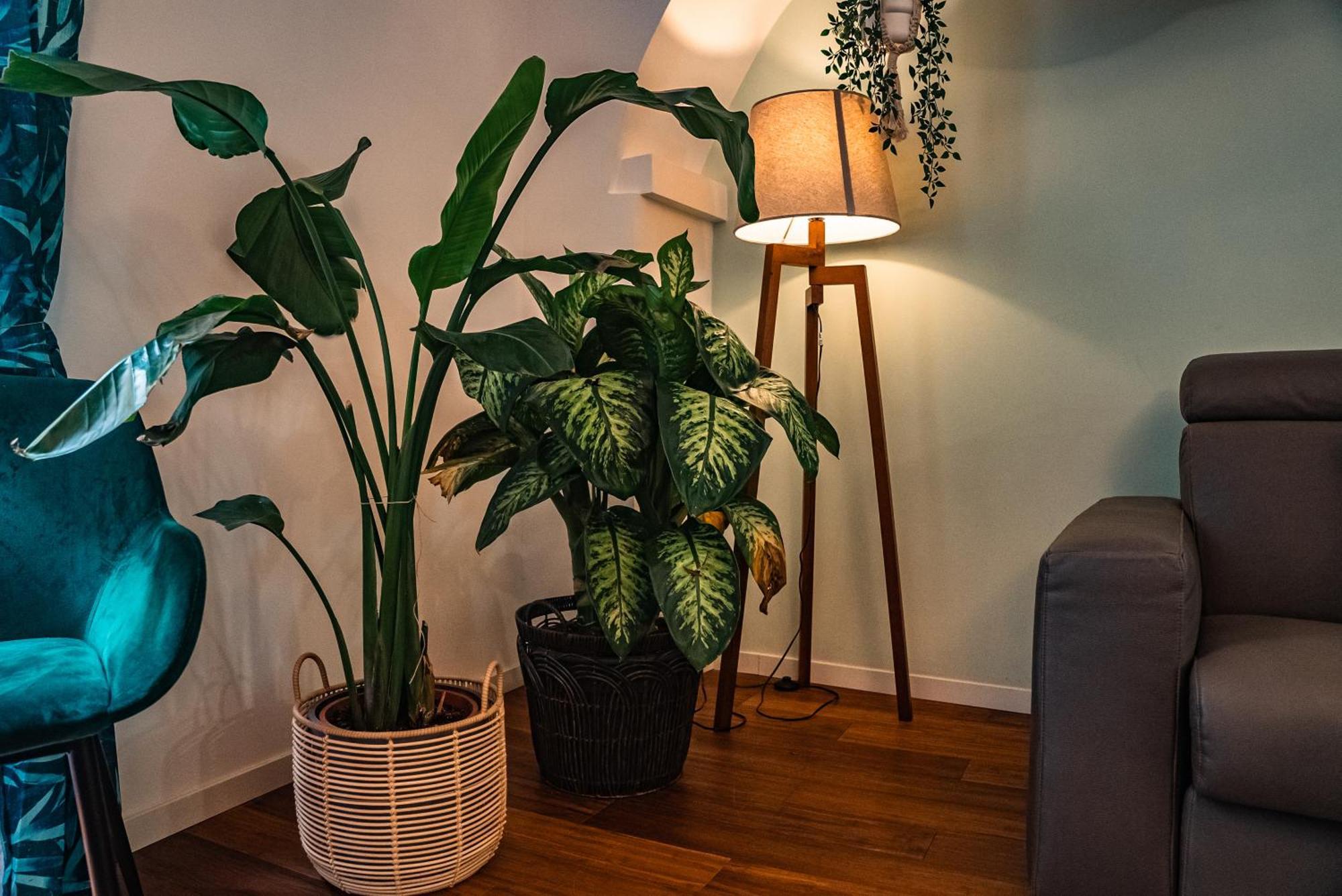 Apartament Casa Spinola View Genua Zewnętrze zdjęcie
